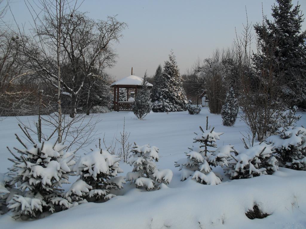 Apartment Hoffmann Vendeghaz Nagyrakos